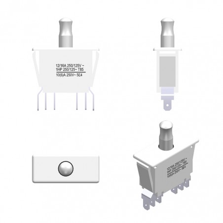 White Bipolar Interlock Switch (K).