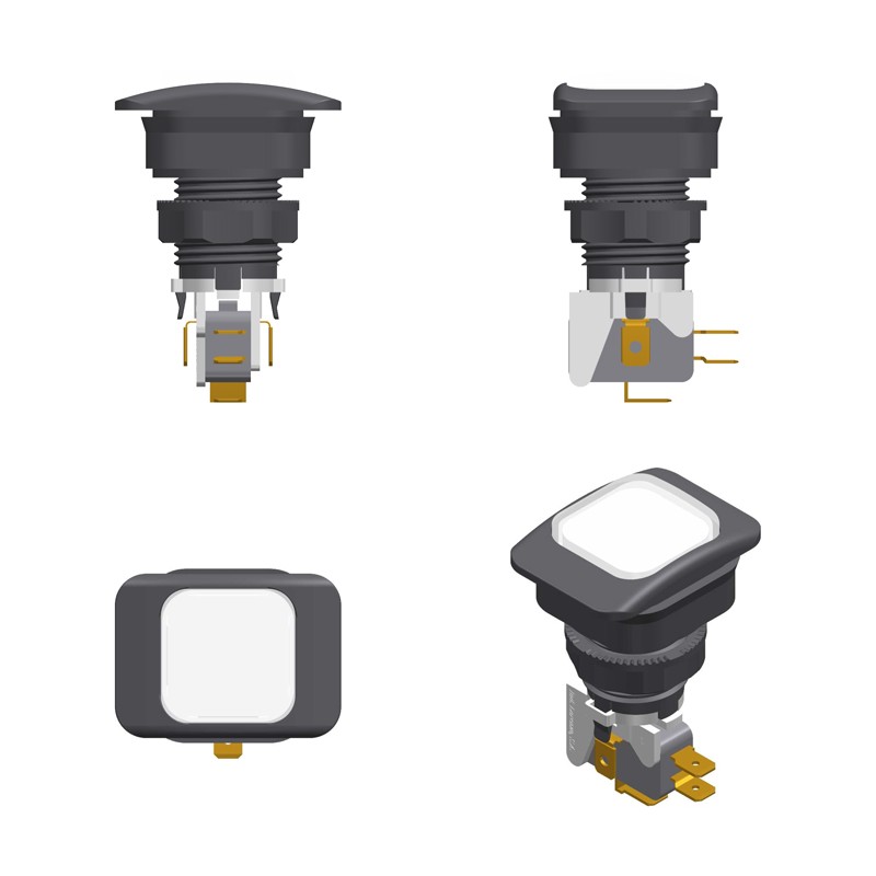 I.P.B CP/E-CV ECS